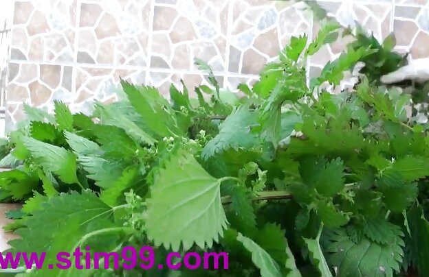 XXX من یک دوست خوب :) اگر وجود دارد هر ادرس کانال شهوانی دختر به طور ناگهانی